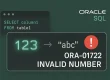 ORA‑01722: invalid number